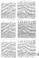 Figure 7.0-7  An inline (top left) and a crossline (top right) stacked section from a land 3-D survey. Also shown are the 2-D (center row) and 3-D (bottom row) migrations of the two stacked sections. (Data courtesy Nederlandse Aardolie Maatschappij B.V.)