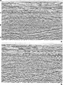 Figure 7.0-12  (a) A CMP-stacked section derived from common-cell gathers along an inline from a 3-D marine survey; (b) 2-D poststack time migration of the CMP-stacked section in (a). (Data courtesy Gulf Canada.)